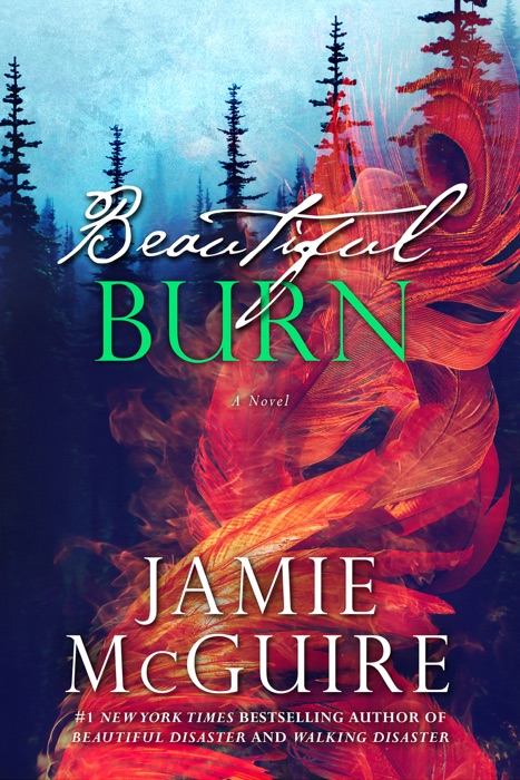 Beautiful Burn: A Novel