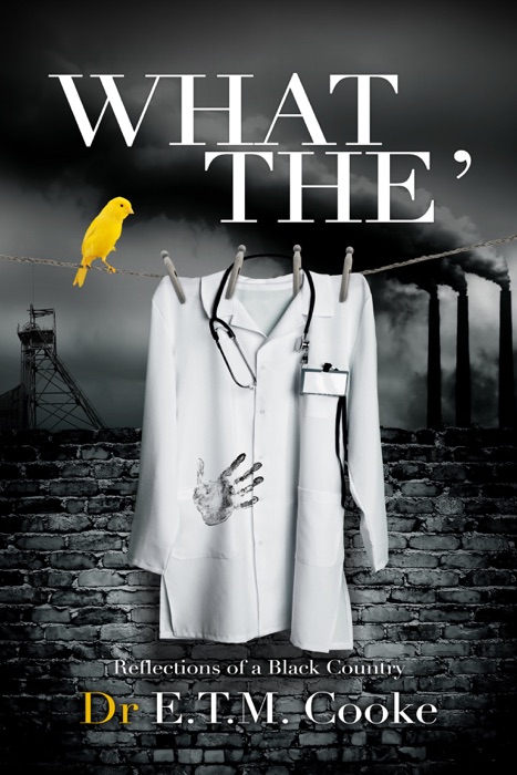 What The': Reflections of a Black Country