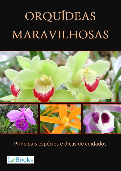 Orquídeas maravilhosas