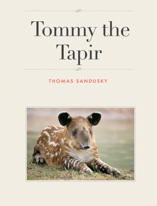 Tommy the Tapir