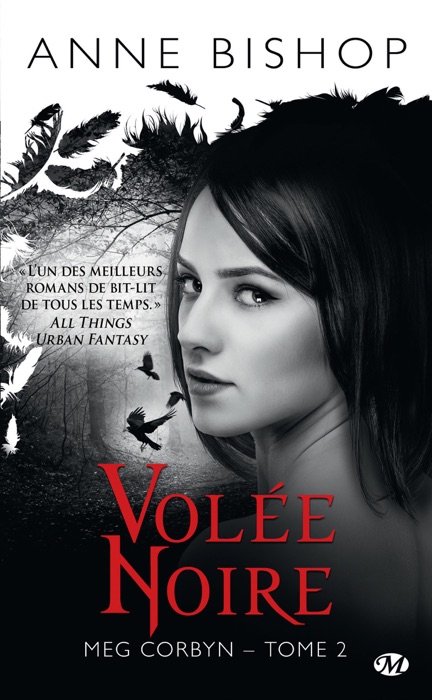 Volée noire