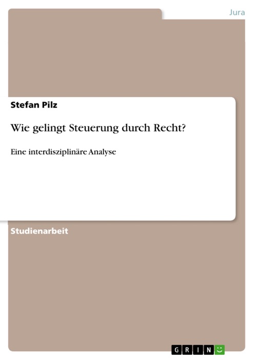 Wie gelingt Steuerung durch Recht?