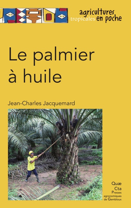 Le palmier à huile