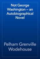 Not George Washington — an Autobiographical Novel