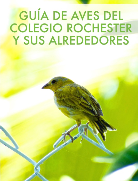 Guía de Aves del Colegio Rochester y sus Alrededores