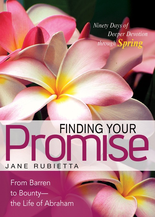 Finding Your Promise