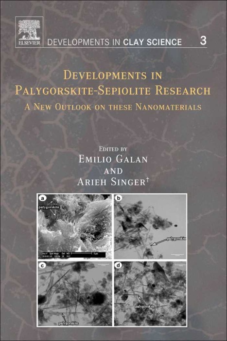 Developments in Palygorskite-Sepiolite Research (Enhanced Edition)