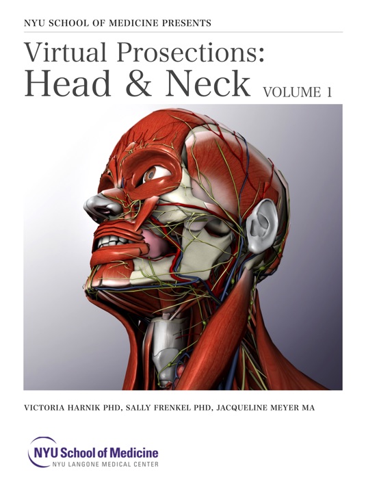 Virtual Prosections: Head & Neck Volume 1