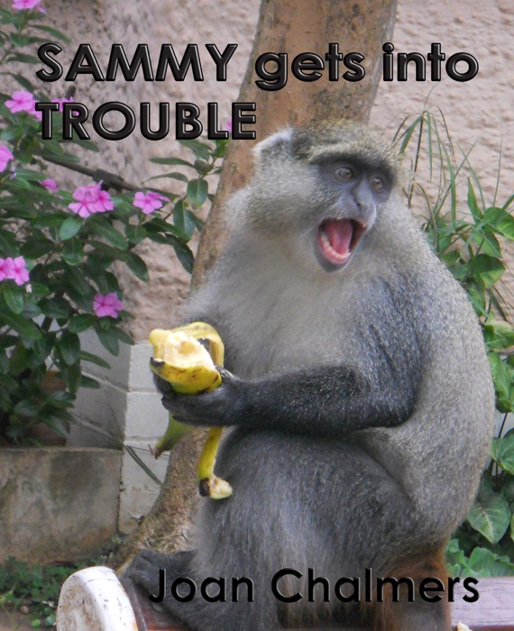 Sammy gets into Trouble