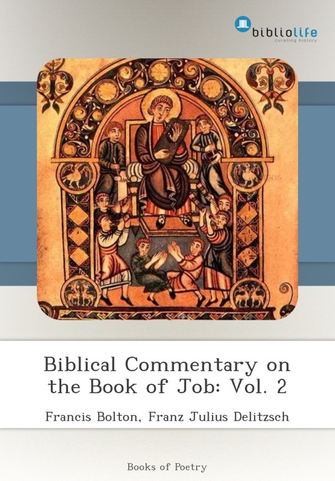 Biblical Commentary on the Book of Job: Vol. 2