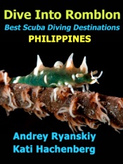 Dive Into Romblon