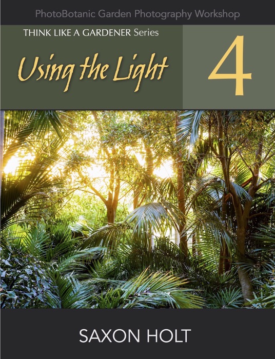 Using the Light