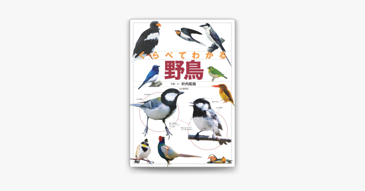 くらべてわかる 野鳥 On Apple Books