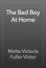 The Bad Boy At Home - Metta Victoria Fuller Victor