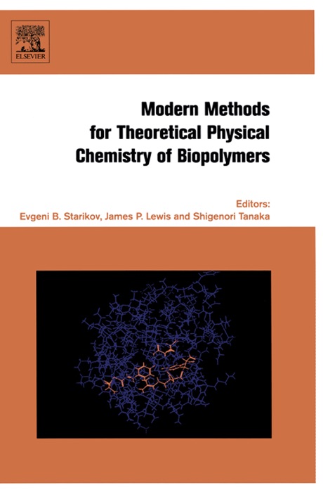 Modern Methods for Theoretical Physical Chemistry of Biopolymers