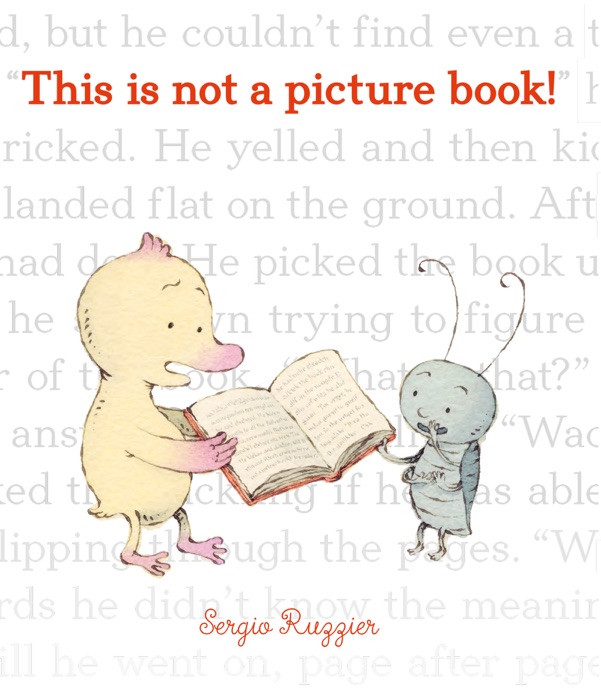 This Is Not a Picture Book!