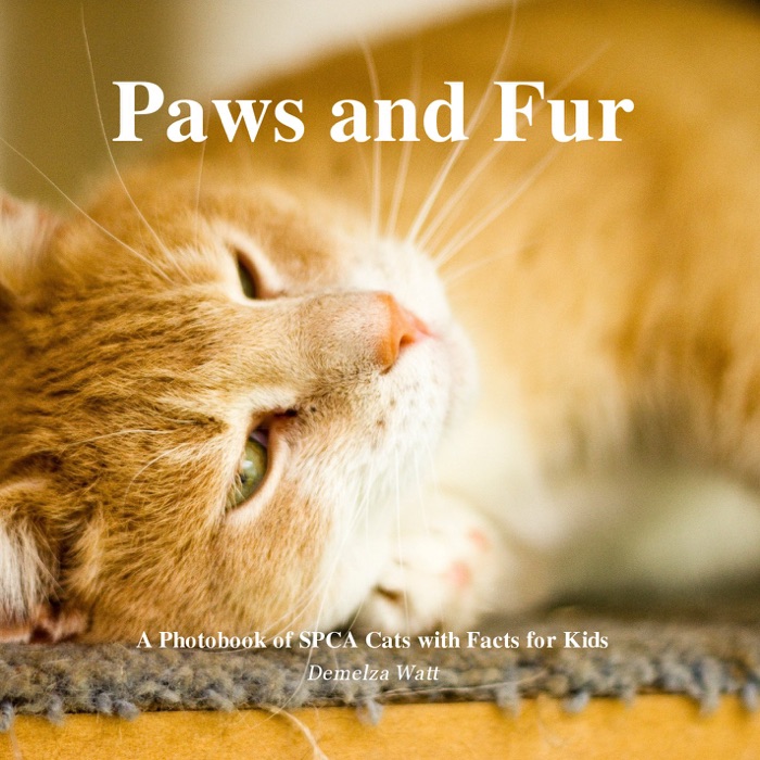 Paws and Fur