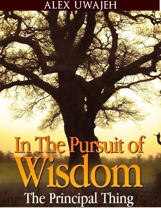 In the Pursuit of Wisdom