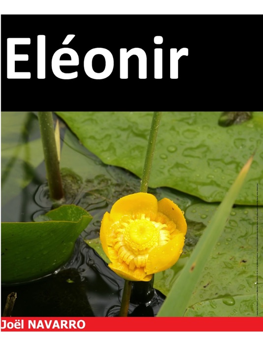 Eléonir