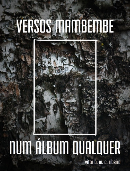 Versos Mambembe num Álbum Qualquer