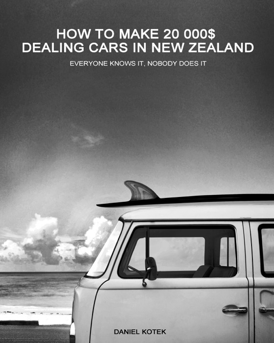 How to Make 20 000$ Dealing Cars in New Zealand