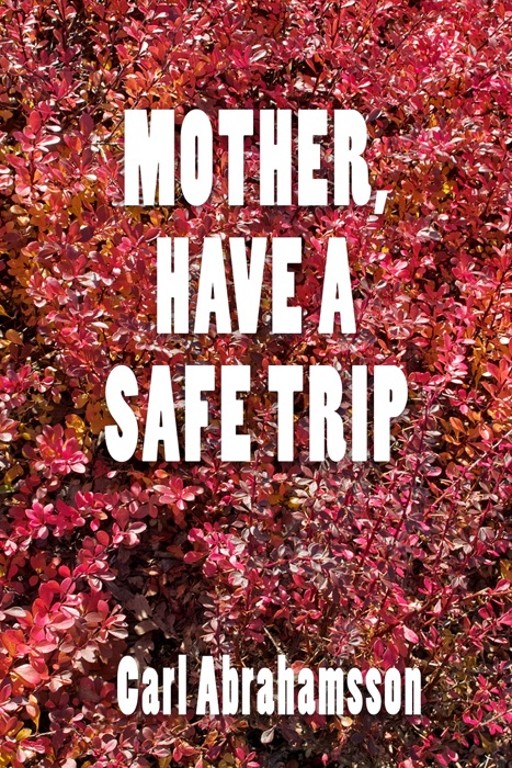 Mother, Have A Safe Trip