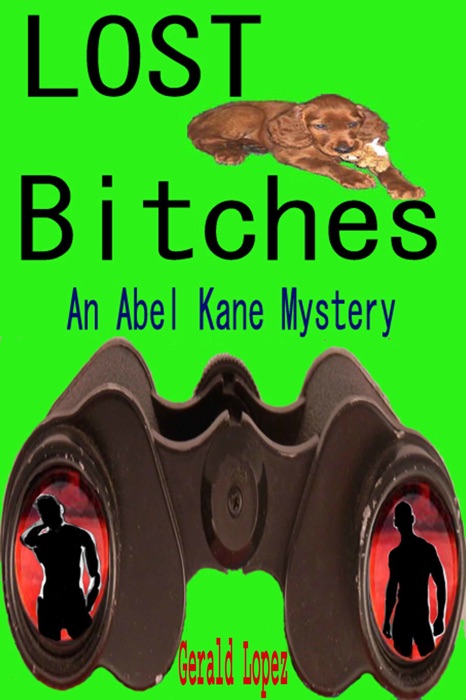 Lost Bitches (an Abel Kane Mystery)