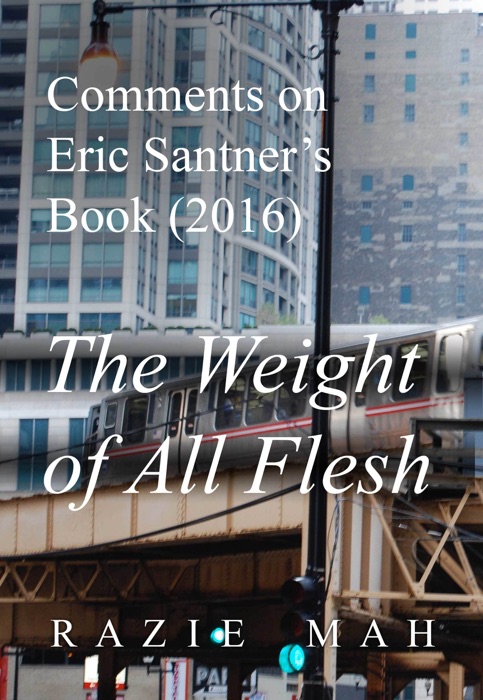 Comments on Eric Santner’s Book (2016) The Weight of All Flesh