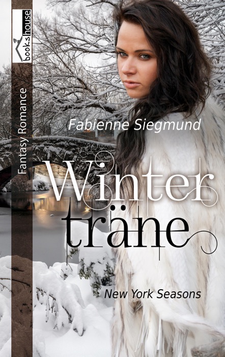 Winterträne - New York Seasons 2