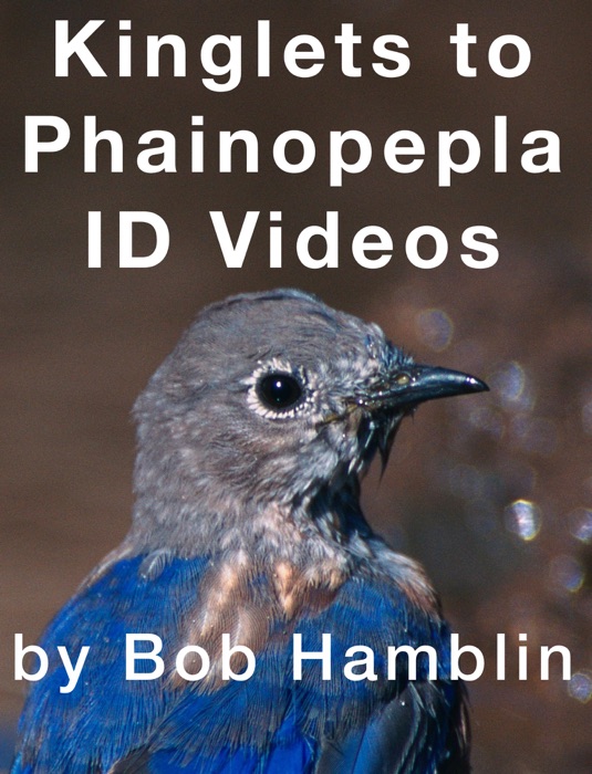 Kinglets to Phainopepla ID Videos