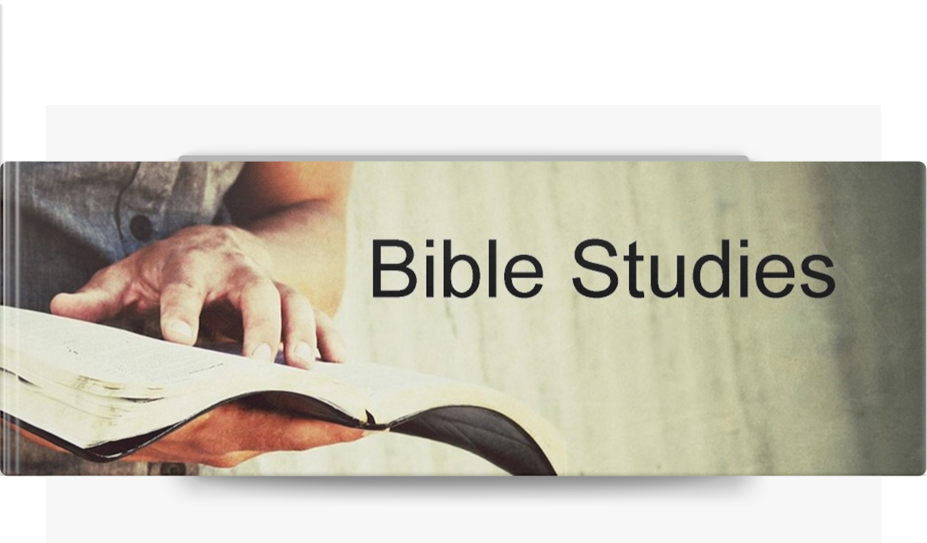 bible-studies-series-bible-study-guide-for-beginners-the-bible-study-book-on-apple-books