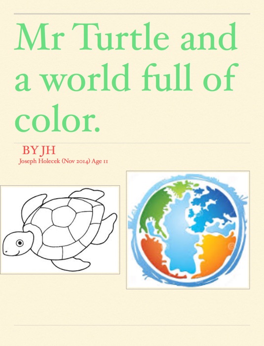 Mr Turtle and a world full of color