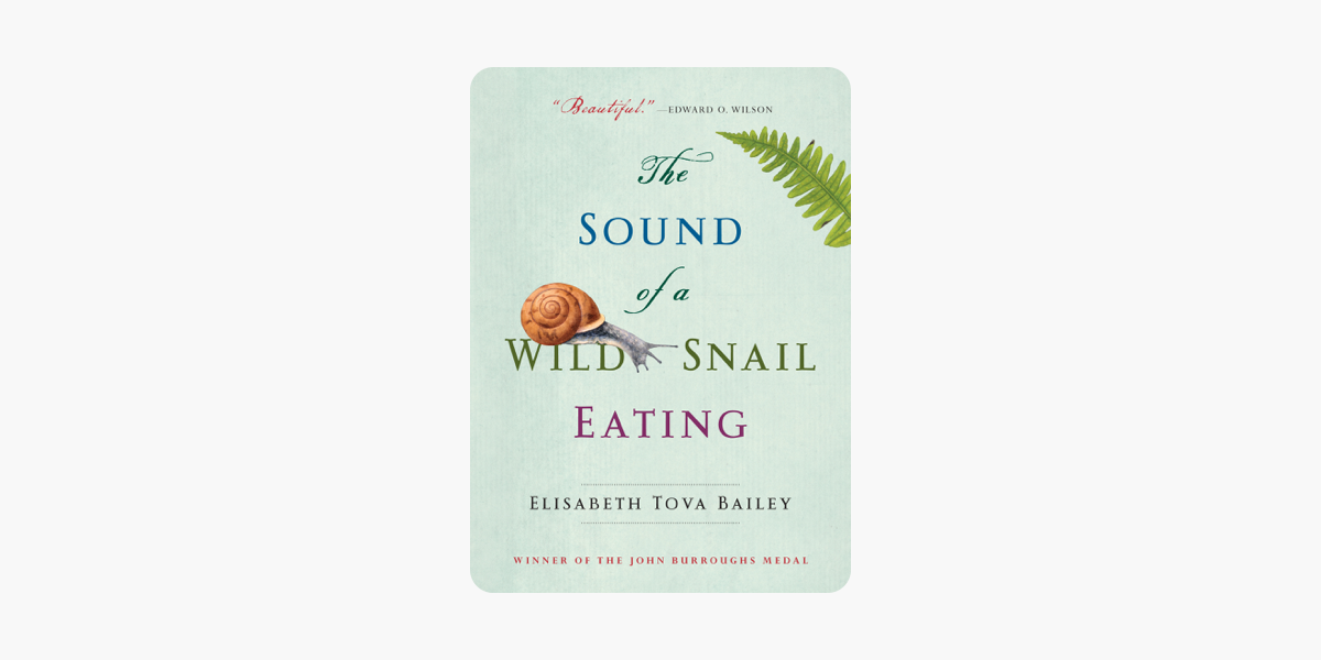 The Sound of a Wild Snail Eating