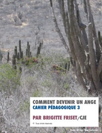 Book's Cover of Comment devenir un ange