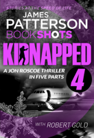 James Patterson - Kidnapped - Part 4 artwork