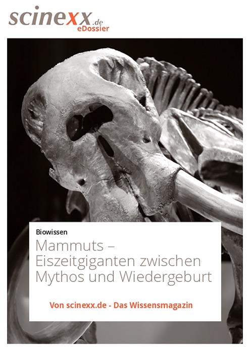 Mammuts