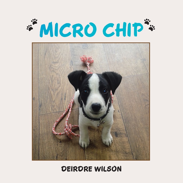 Micro Chip