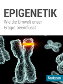 Spektrum Kompakt - Epigenetik - Spektrum der Wissenschaft