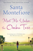 Santa Montefiore - Meet Me Under the Ombu Tree artwork