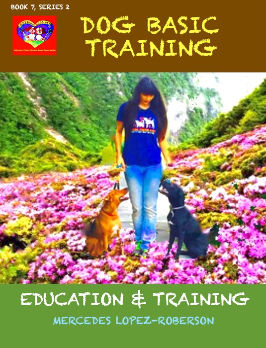 Dog Basic Training