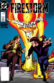 Firestorm: The Nuclear Man (1987-) #84 - John Ostrander & Tom Grindberg by  John Ostrander & Tom Grindberg PDF Download