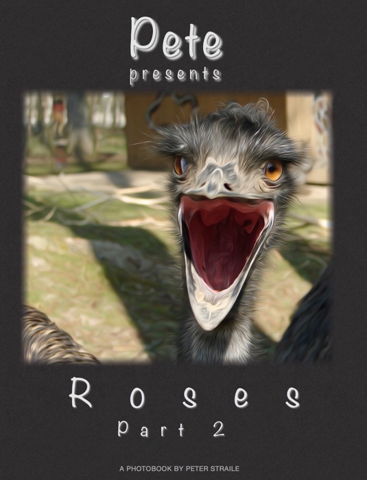 Pete presents - Roses Part 2