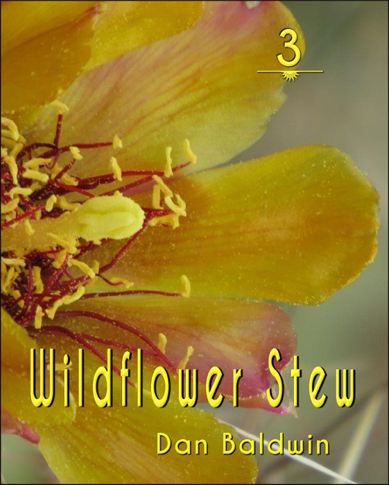 Wildflower Stew 3
