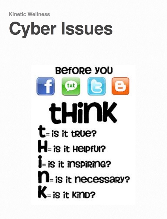 Cyber Issues