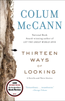 Colum McCann - Thirteen Ways of Looking artwork