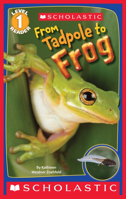 Scholastic Reader Level 1: From Tadpole to Frog