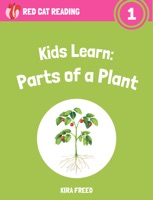 Kids Learn: Parts of a Plant