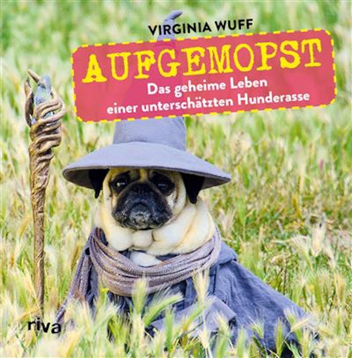 Aufgemopst