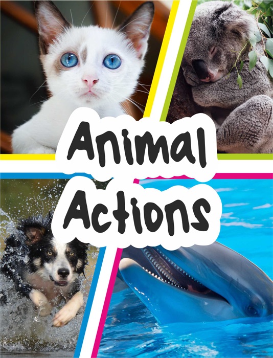 Animal Actions