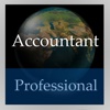 Accountant Handbook (Professional Edition)